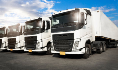 LKW Ankauf Buchholz